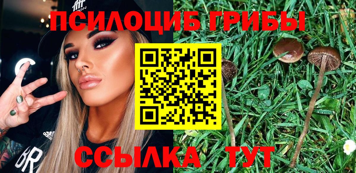 Галлюциногенные грибы прущие грибы  Вход с VPN  Череповец 