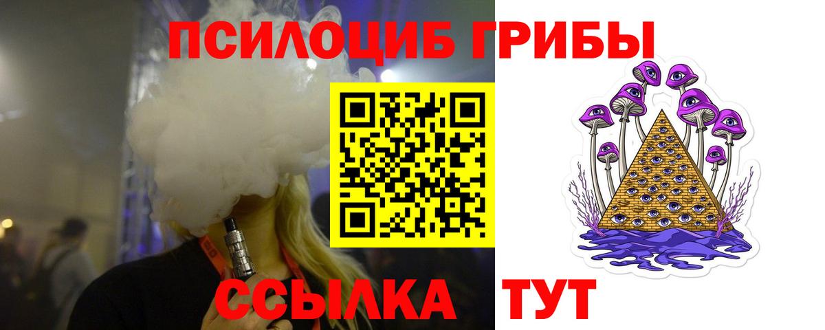 Псилоцибиновые грибы Psilocybine cubensis Череповец